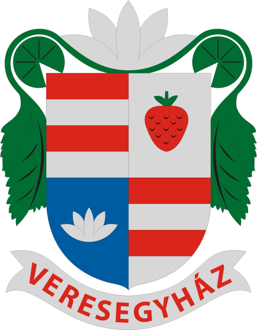 Számítógép Szerviz Veresegyház